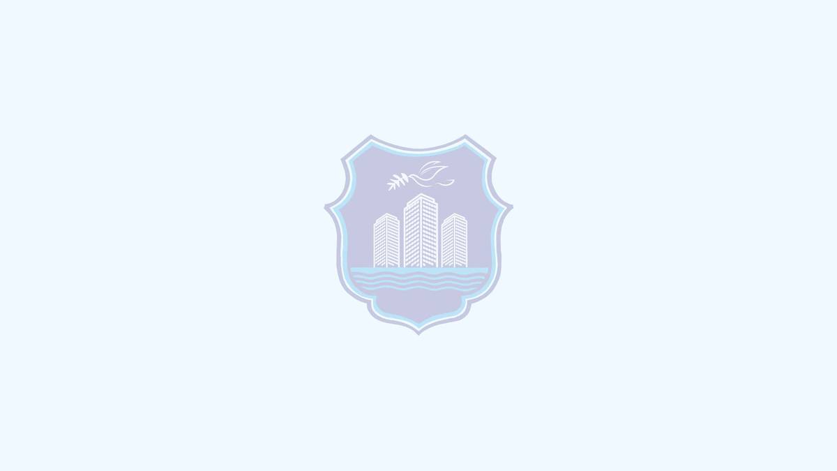 ispuna-6757132d77ccadf47836f61f